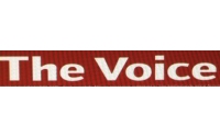voice voice